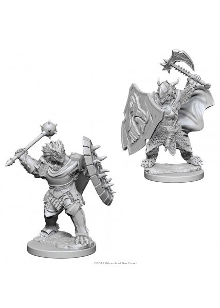 D&D Nolzur's Marvelous Unpainted Miniatures: Dragonborn Male Paladin